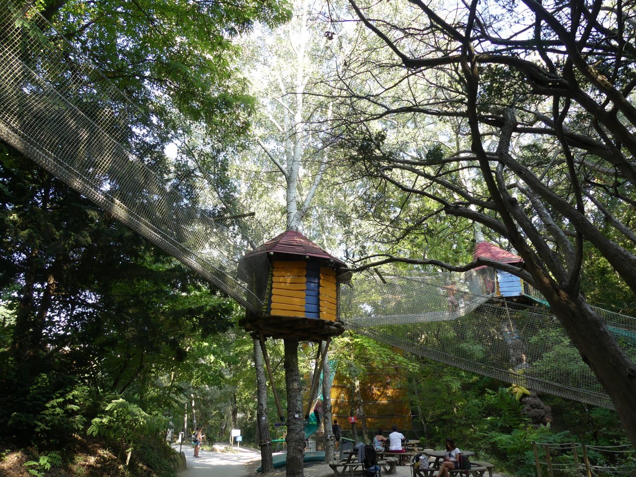 vacances d'été-Jeu Bois des lutins