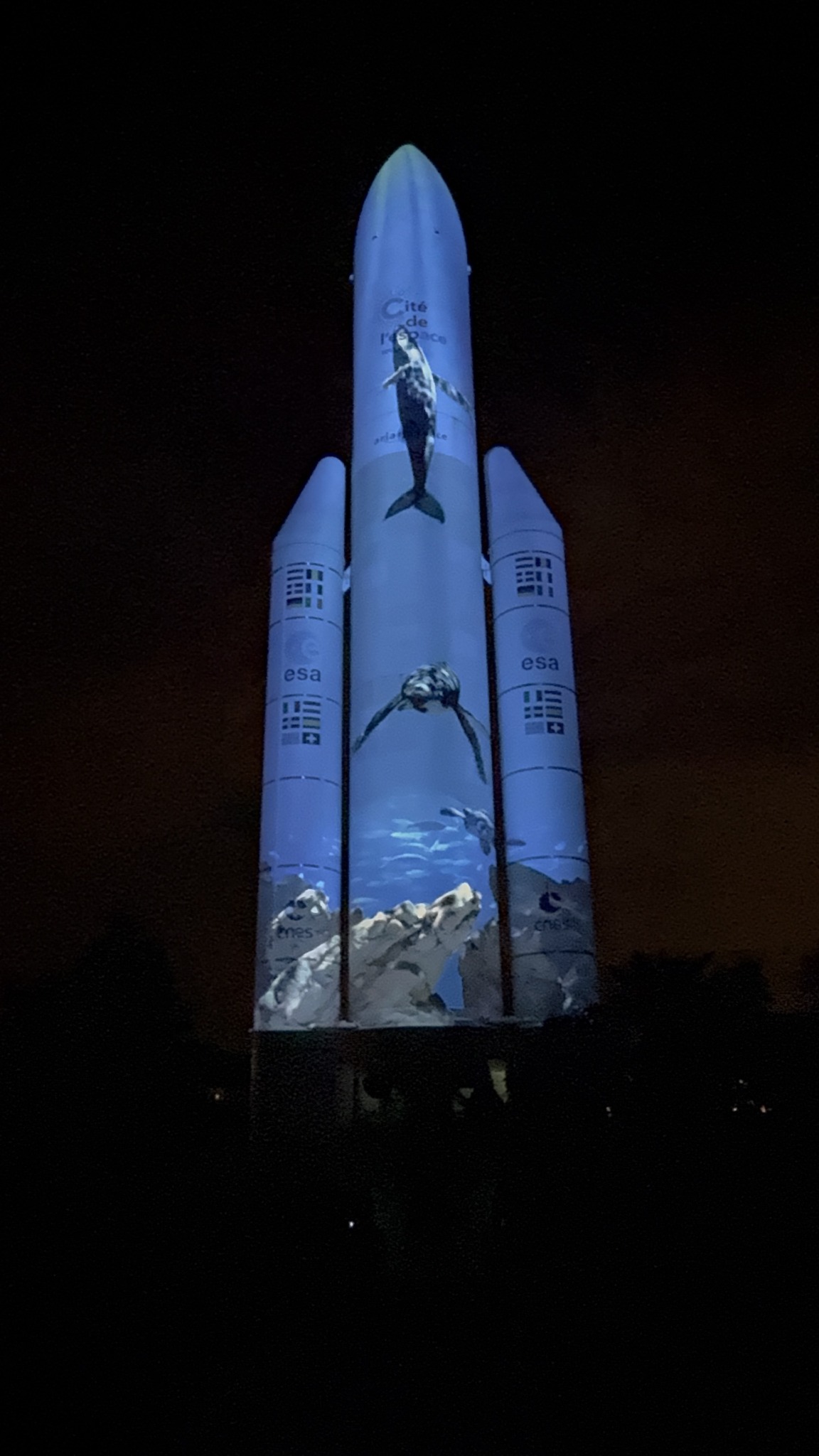 nocturnes cité de l'espace - Ariane 5 animaux