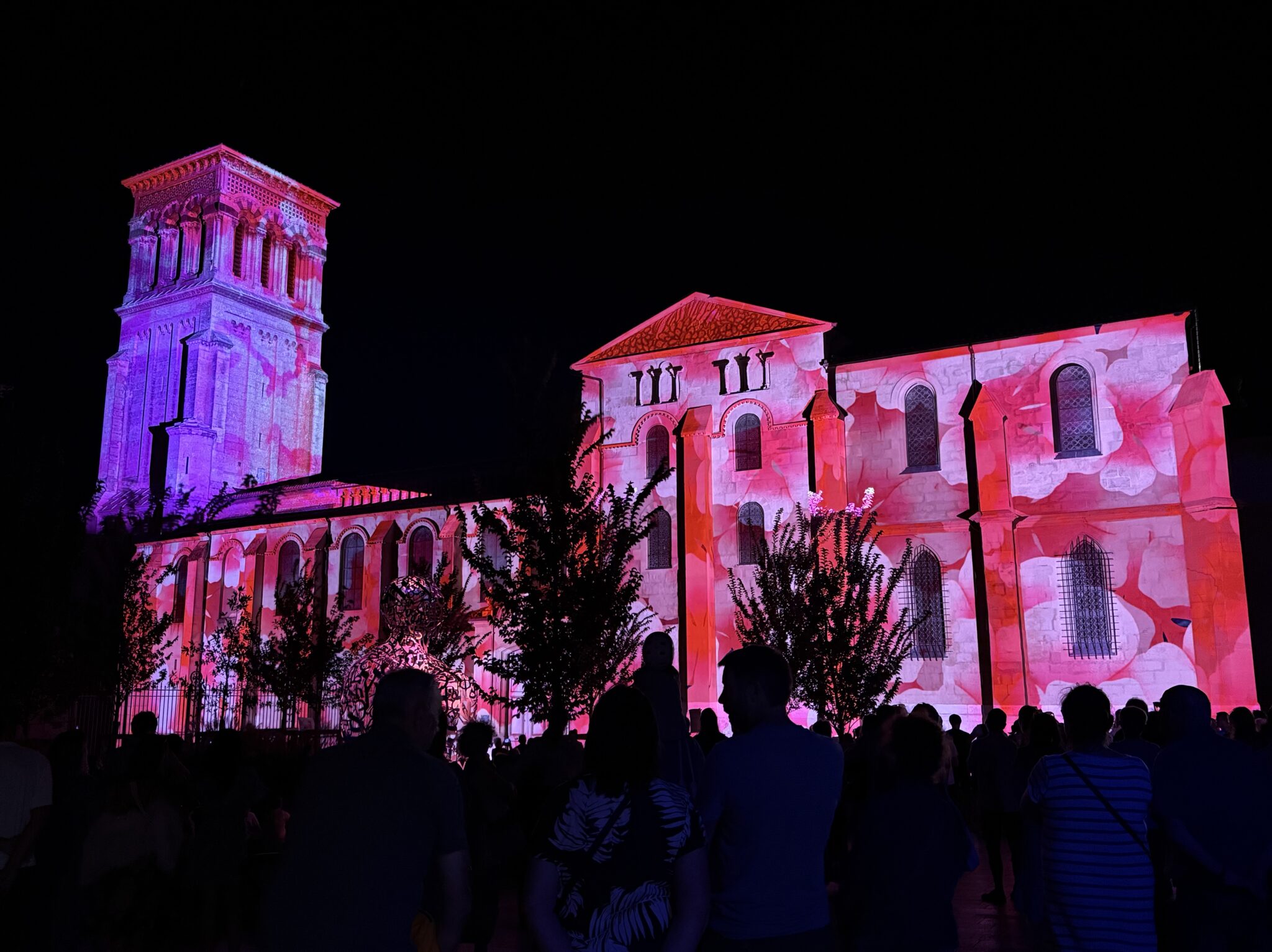 Festival Région des Lumières - Cathédrale Saint-Apollinaire en rose